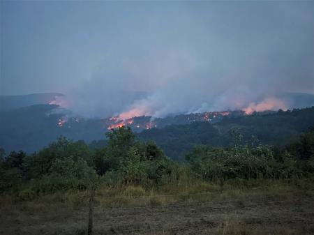 Požarna linija, ki se je nevarno približevala naselju Mohorini